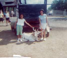 Animal Land 1964