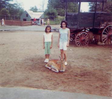 Animal Land 1964