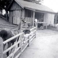 Nick with Llama