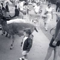 Nick with Deer 