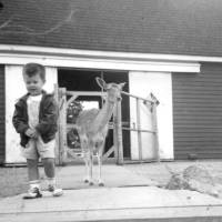 Nick with Fawn